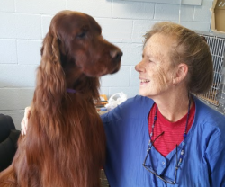 Dianne - Owner and Main Groomer